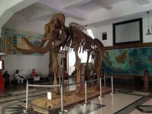 Museum Geologi Bandung.